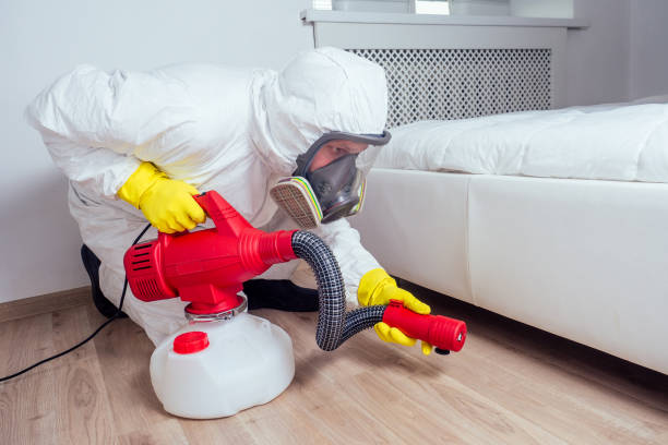 Professional Pest Control in Sandy Oaks, TX